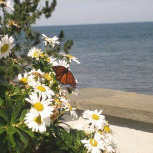 Meet your Posher, Izabella